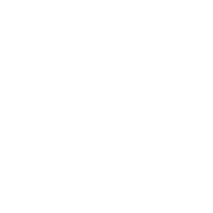 logo do wordpress