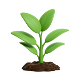 imagem de agropecuária